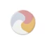 POLA DIEM COULEUR Color Trick Multi Cushion Foundation- Direct from Japan