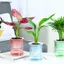 Chậu hoa thủy canh lười biếng Chậu hoa thấm nước tự động Chậu hoa trong suốt hai lớp bằng nhựa tự tưới nước Văn phòng VN