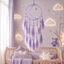 Feather Dream Catcher Treo Tường Bohemian Handmade Dệt Trang Trí Phòng Ngủ Pampas Cỏ Dạ Quang Hạt Trang Trí