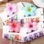 NKSFX 5 Cái / bộ Vuốt Tóc, Kẹp Tóc Hoa Hawaii Gradient Acrylic, Hoa Ngọt Ngào Plumeria Kẹp Hoa Đuôi Ngựa Kẹp Phụ Kiện Tóc Đi Biển