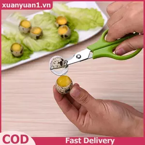 XUAN Kéo Trứng Thép Không Gỉ Chim cút Trứng Kéo Dụng Cụ Mở Trứng Kẹp Sáng Tạo Bộ Dụng Cụ Dành Cho Phụ Kiện Nhà Bếp VN