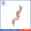 Pastel Trang Trí Nhựa Thỏ Trang Trí Nhà Thỏ Trang Trí Điêu Khắc Đổ Xô Cho Phòng Ngủ Bàn Trưng Bày