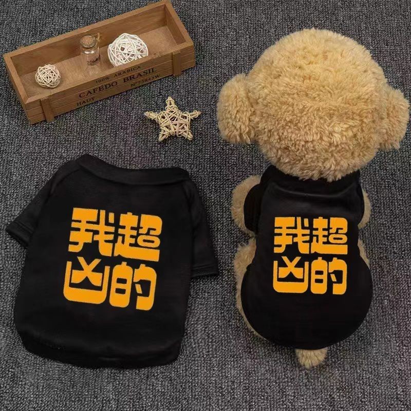 Quần Áo Thú Cưng Áo Vest Chó Nhỏ Chó Mùa Xuân Thu Đông Mùa Hè Mỏng Bichon Teddy Tiếp Liệu Chó Con Mèo
