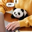 Rytanda Mô Phỏng Dễ Thương Cáo Gấu Trúc Gấu Trúc Voi Tê Giác Husky Pig Sang Trọng Đồ Chơi Cho Bạn Gái Sang Trọng Búp Bê Gối Ngủ Thú Nhồi Bông Giáng Sinh Tốt Nghiệp Quà Tặng Sinh Nhật
