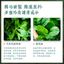Kem loại bỏ mụn bọc, phục hồi vết tích mụn và chống viêm mụn, làm mờ thâm mụn, dưỡng trắng Làm ẩm 30g