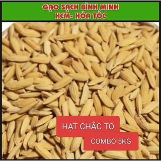 LÚA THỨC ĂN CHO GÀ_ CHO CHIM _COMBO 5 KG