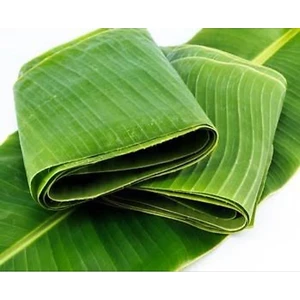 Lá Chuối Tươi Sạch - Lá Chuối Gói Bánh, Gói Giò - Chuẩn Loại 1, Xanh Mướt, Dẻo Dai