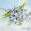 1 Hoa Giả Có Thân Cây Thực Tế Nhân Tạo Tự Nhiên Phalaenopsis Hoa Lan Cho Bình Hoa Nhà Hiên Nhà