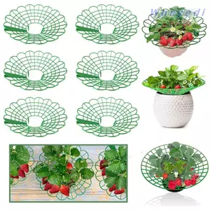 WANYEDI 1 / 3 Chân Đế Dâu Tây, Chân Khay Đựng Cây Tròn Chống Đất, Có Ba Chân Chắc Chắn Chống Ăn Mòn Trellis Planter Chèn
