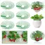 WANYEDI 1 / 3 Chân Đế Dâu Tây, Chân Khay Đựng Cây Tròn Chống Đất, Có Ba Chân Chắc Chắn Chống Ăn Mòn Trellis Planter Chèn