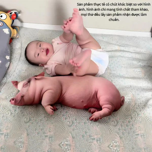 Đồ chơi nhồi bông lợn thực tế VN, Gối hình con lợn sáng tạo, Đồ chơi xỏ ngón cho trẻ em, Quà tặng sinh nhật.
