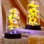 GCDHome Hoa Hướng Dương Đèn Ngủ Hoa Kính Bao Đèn Bóng Hoa Hồng Đèn LED Lá Hoa Sáng Tạo Để Bàn Trang Trí HOT