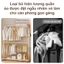 𝐅𝐔𝐑𝐍𝐈𝐒𝐇 𝐅𝐈𝐄𝐒𝐓𝐀 Giá Treo Quần Áo 2 Tầng Giá Treo Tiện Ích Đồ Đa Năng Xào Đồ Treo Quần Áo Mẫu Mã Kích Thước