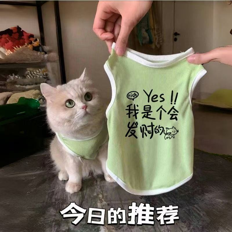 Quần Áo Cho Chó Mèo Mùa Xuân Mùa Hè Thú Cưng Mèo Bạc Chuyển Màu Xanh Mèo Chống Trơn Thoáng Khí Dễ Thương Mát Băng Lụa Áo Vest
