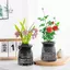 Maybest Mini Tự Tưới Hoa Bể Cá Nhựa Trong Suốt Chậu Cây Tự Tưới Cây Bình Hoa Để Trang Trí Nhà Cửa {VN}
