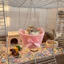 Võng Hamster MCODECOVED, Thoáng Khí Gnawing Proof Guinea Pig Hideout, Treo Lồng Nhà Đan Tay Nơ Giỏ Treo Giường Tất Cả Các Mùa