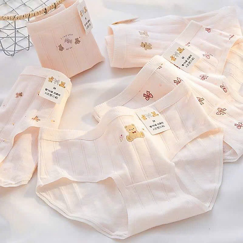 COMBO 5 QUẦN LÓT COTTON NƠ HỒNG MS1113