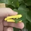Pet Paw In Dập Nổi Tem Cho Tự Làm Nghệ Thuật Động Vật Độc Đáo Công Cụ Dập Dấu Chân Cho Quà Tặng Handmade Tùy Chỉnh