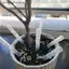 COD Cây sục khí Ống trồng cây Chèn Ống thông gió Rootlet Rot Phòng chống nước cho tất cả các loại Chậu hoa MỚI