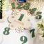 MAKY Gỗ Bé Hàng Tháng Cột Mốc Thẻ Hoa Hai Mặt Số Tháng Bé Gái Bé Trai Sơ Sinh Đạo Cụ Chụp Ảnh Phụ Kiện VN