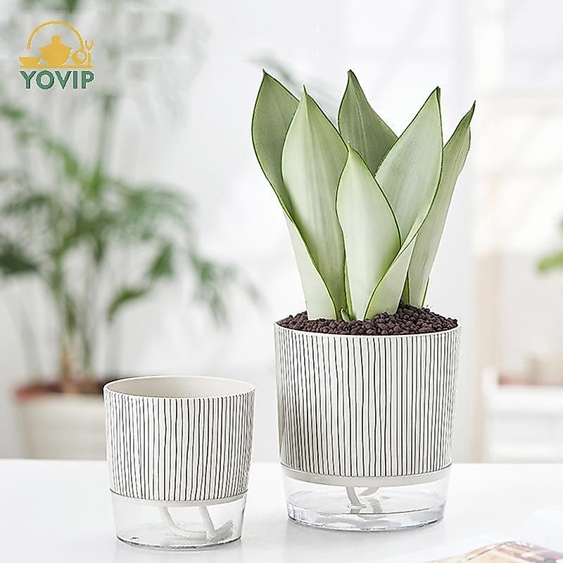 YOVIP Chậu cây tự tưới nước trong suốt có hộp đựng nước Chậu hoa Cây xanh er cho sân vườn Trang trí cây cảnh VN