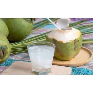 Dừa Xiêm Nguyên Trái Trà Du Farm - Dừa Tươi Bình Định Chuẩn Vườn, Ngọt Thanh, Giải Nhiệt Sảng Khoái