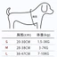 Hàn Quốc🇰🇷Little Bee Pet Dây đeo ngực Dây xích chó dễ thương Dây đeo ngực thú cưng Dây đeo ngực mèo Dây đeo ngực cho chó Dây xích mèo Dây đeo ngực thoáng khí Dây xích đi chơi Dây xích mèo / Chó nhỏ / Pomeranian Teddy Schnauzer