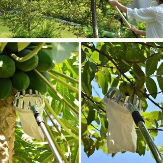 vợt đầu sào hái trái cây trên cao,dụng cụ hái trái cây