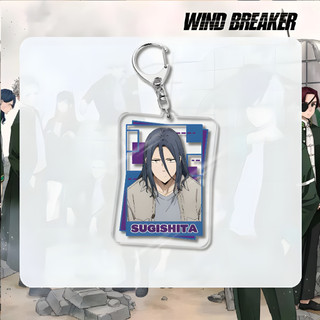 Anime WIND BREAKER Sakura Haruka Suo Hayato Acrylic Key Chain Keychains for Accessories Bag Pendant Keyring Jewelry Fans