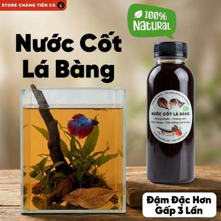 Nước Cốt Lá Bàng Đậm Đặc X3 - Lọc Nano Siêu Trong - Dưỡng Cá Betta, Cá Lóc, Giảm Stress