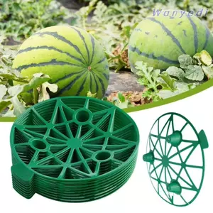 WANYEDI 1 Giá đỡ khay trái cây, Dụng cụ Khay thực vật Giá đỡ dưa hấu, Giá đỡ làm vườn Rau chống xoay Giá đỡ làm vườn Dưa hấu bí ngô