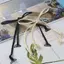 KANGN 3 Cặp Dây Đeo Áo Ngực, Dây Đeo Vai Đồ Lót 5 Mm Chống Trơn Trượt, Phụ Kiện Đồ Lót Nylon Co Giãn Mỏng Dây Đeo Nữ