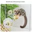 Bát đựng thức ăn cho thú cưng kép Acrylic trong suốt Lồng đựng nước thực phẩm chống rò rỉ để sử dụng tại nhà Parakeet Coatiel [VN]