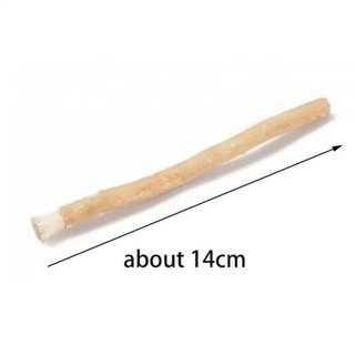 Bàn chải Miswak JKDESIGN mềm, thân thiện môi trường, không cần kem, que truyền thống dùng khi du lịch