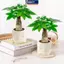 MAKY Mini Tự Tưới Hoa Nồi Cá Nhựa Chậu Cây Tự Tưới Cây Chậu Bình Để Trang Trí Nhà Cửa VN
