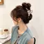Ánh Sáng Sang Trọng Zircon Giả Ngọc Trai Lấy Kẹp Nữ 2026 Phong Cách Mới Pháp Cua Móng Vuốt Tóc