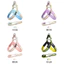 【Ready Stock】 Summer New Dog Hand Holding Rope Lightweight Breathable Pet's Chest-Back Small and Medium-Sized Dogs Strap Explosion-Proof Dog Leash Q192