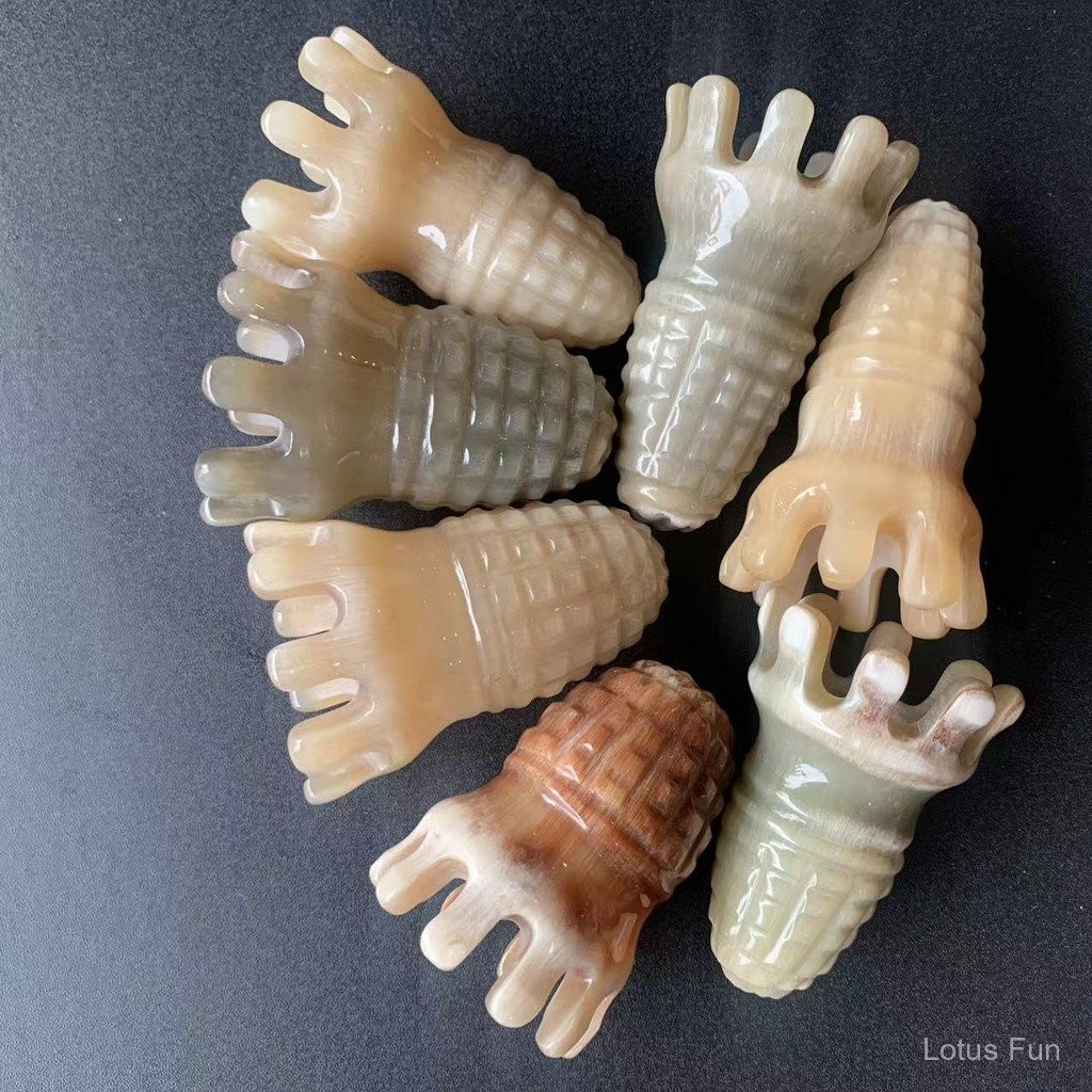 Sừng Hình Bạch Tuộc Đầu Massage Lược Bạch Tuộc Trầy Xước Đầu Nạo vét Kinh Tuyến Sừng Máy Mát Xa