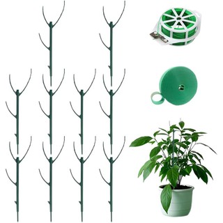 Có thể xếp chồng lên nhau Monstera Hỗ trợ cây trồng bằng nhựa có thể điều chỉnh Cọc cây leo Cây cột giữ cây Trellis cho cây nho trong nhà ngoài trời màu xanh lá cây 10 gói 1 Bộ 5 Gói