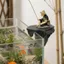 QEARY Rockery Angler Trang trí, Mô phỏng thực tế Câu cá Tượng ông già, Cảnh quan Thủ công Phong cách treo tường PVC Bể cá đá treo tường