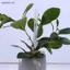 3 / 5 / 10 Ống tuần hoàn không khí đất cho cây bằng nhựa bền Ống thông gió rễ cây thoát nước trong suốt s [VN]