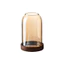 Trái Cây Nĩa Trái Cây Bánh Inox Món Tráng Miệng Nĩa Nhỏ Hộ Gia Đình Cảm Thấy Sáng Tạo Trái Cây Chọn Bình Bảo Quản Bộ X1NU