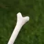 < WHPHous-t > 10 Chiếc 70mm 83mm Chiều Dài Chuyên Nghiệp Tee Nhựa Golf Tee 4 Móng Vuốt Nhựa Bền Tee Golf Phụ Kiện Golf Cho Golfer Đẹp