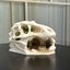 QEARY Nơi ẩn náu bò sát, Đồ trang trí phong cảnh khủng long in 3D không đều, Bộ xương khủng long Thực tế giống như thật Cá nhựa rỗng Nơi trú ẩn trang trí nhà cửa