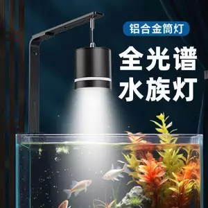 🔥Đèn Gắn Bể Cá Mini Bể Nam Mỹ đèn rọi bể cá Bể Cá Nước Cỏ Đèn LED Full Spectrum COB Chống Thấm Nước Trung Bình Lớn Cỏ Chuyên Dụng Chiếu Sáng Đèn Burst Tảo Ba Màu 16W Downlight