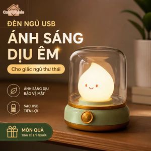 đèn ngủ đèn decor sạc USB ánh sáng dịu pin 800mAh phòng ngủ bàn làm việc góc học tập dễ sử dụng ấm