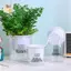Chậu cây tự tưới mini bằng nhựa trong suốt, dạng bể cá, thương hiệu KXH, dùng trang trí nhà cửa ELWW
