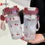 Bình Nước Ống Hút Đôi 580Ml Cho Học Sinh Cốc Nhựa Anh Đào Dễ Thương Nhẹ Chống Rò Rỉ Cho Trường Làm Việc Phòng Tập Gym VN