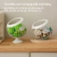 Giỏ Sắt Đựng Trái Cây Bắc Âu Decor Bàn Ăn Phòng Khách Sang Trọng Đựng Bánh Kẹo Đồ Khô