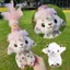 QEARY Móc khóa cừu nhỏ, Móc khóa cừu PP Cotton DIY, Chủ đề động vật Cừu mặt trần Tân Cương Kawaii Lưu niệm du lịch Móc khóa Phụ kiện